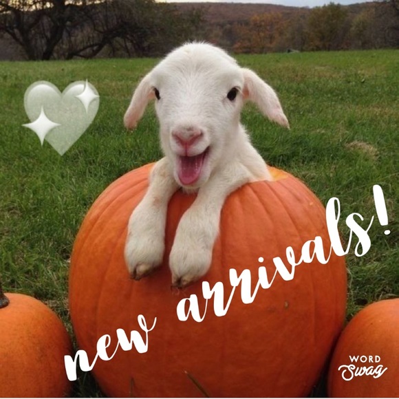 Other - New items added!!